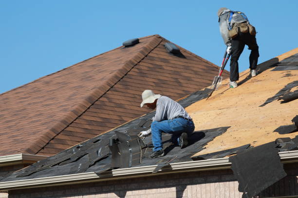 Best Roof Installation  in Globe, AZ