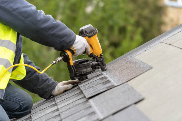 Best Roof Maintenance and Cleaning  in Globe, AZ